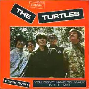 Turtles, The - Columbia MO  686