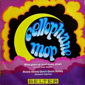 Cellophane Mop - Belter 07.822